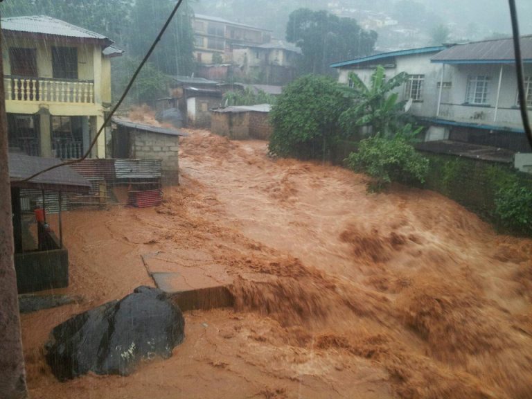 Hundreds Killed In Sierra Leone Mudslide Africa Feeds
