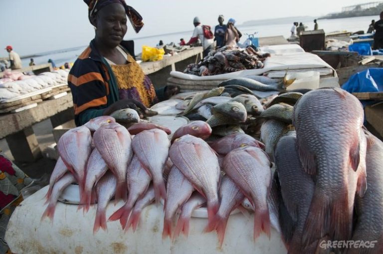 4 African States to join Fisheries Transparency Initiative
