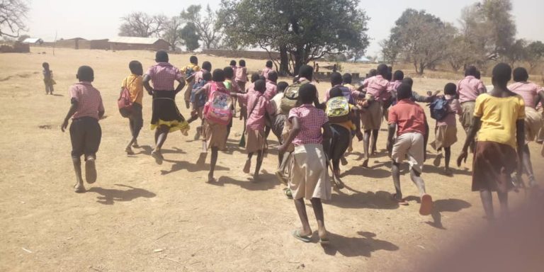 Ghana: Over 200 schoolkids exposed to bee attack
