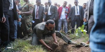Abiy Ahmed planting trees