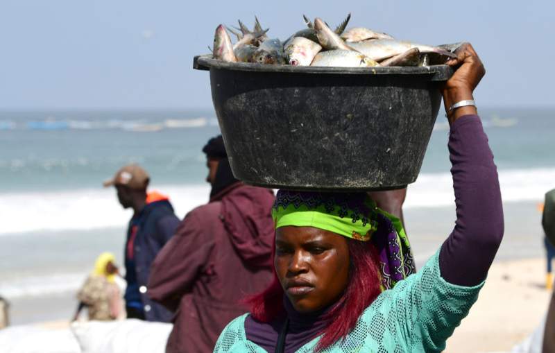 Fishing in Africa