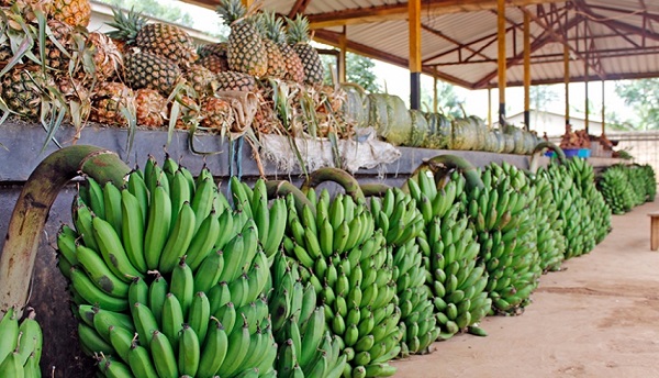 Food prices in Rwanda