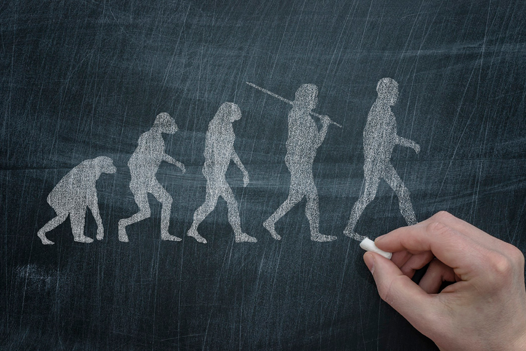 Teaching of evolution in schools