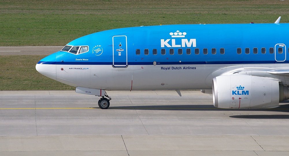 Bird strike on KLM flight in Ghana